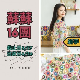 蘇蘇16團－絢爛蕾絲拼花衣