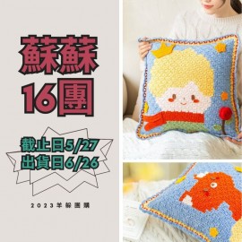 蘇蘇16團－小王子抱枕套