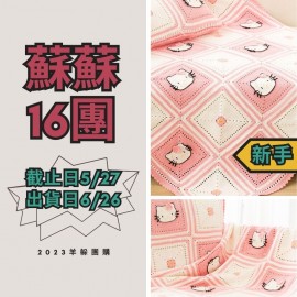 蘇蘇16團－KT毯