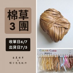【棉草3團】可水洗拉菲草線40g