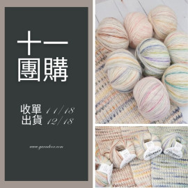 【11團購】彩若 精梳噴毛段染線 50g×5