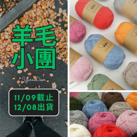 羊毛小團-外銷北歐75羊毛100g