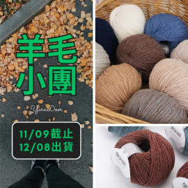 羊毛小團-編格爾 澳絨 50g×5