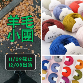 羊毛小團-雪蘭 羊絨型羊毛 40g×5