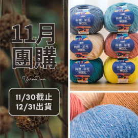 11團購-肖恩 羊毛 50g×4