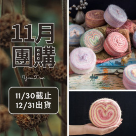 11團購-印象日出 長段染100g×5