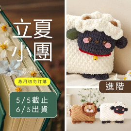 【立夏】奇趣抱枕毯