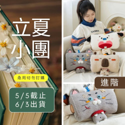 【立夏】暖馨多用抱枕